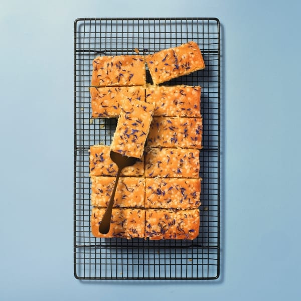 A whole tray of lemon drizzle on a cooling rack on a blue background.